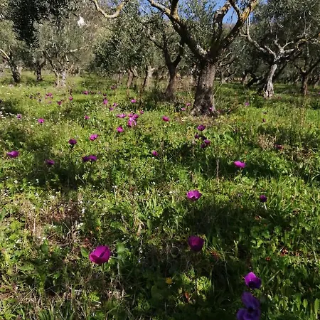 Le Coste 3* San Lupo