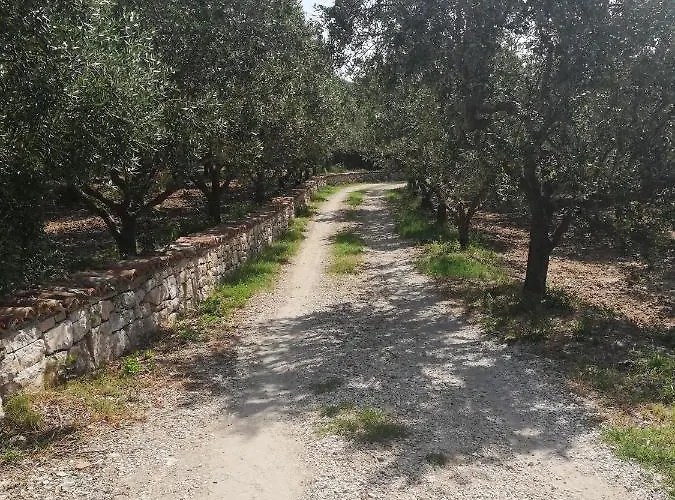 Le Coste