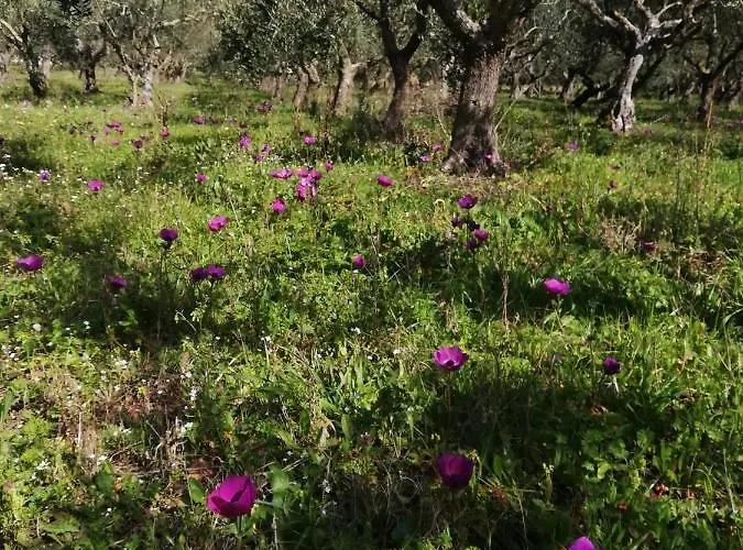 Le Coste 3* San Lupo